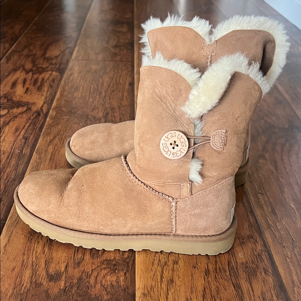 Ugg Chesnut Suede Boots with Fur Lining